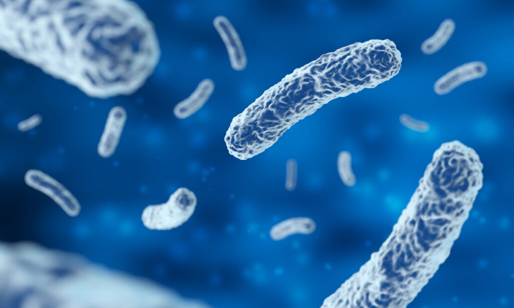 Comment fonctionne notre microbiote ?